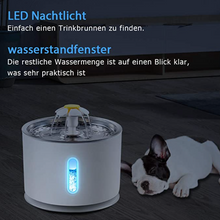 Lade das Bild in den Galerie-Viewer, Katzen/Hunde Trinkbrunnen mit LED 2,4L, Heute 50% Rabatt