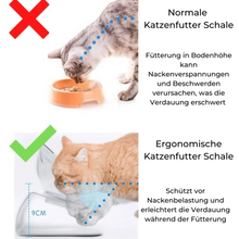 Lade das Bild in den Galerie-Viewer, ERGOBOWL™ Einzel/Doppel Katzen Futternapf erhöht durch rutschfesten Standfuß(50%Rabatt)